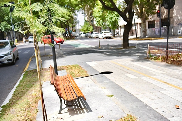 El Municipio de La Plata renovó los espacios de descanso en la ciudad: colocó más de 30 bancos y 600 plantas agapanthus