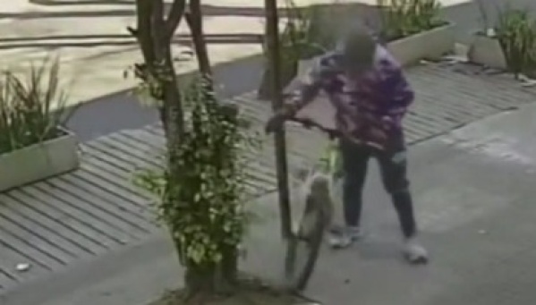 En el centro de La Plata, a plena luz del día y en minutos, un hombre se robó dos costosas bicicletas