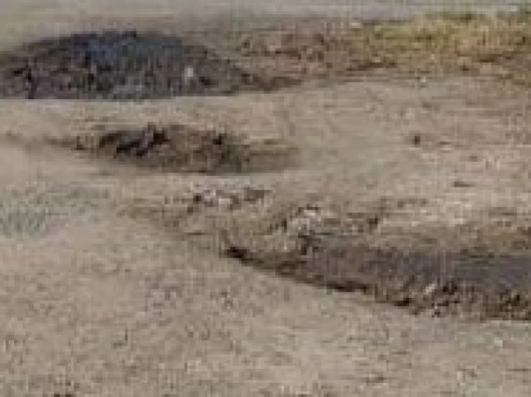 Denuncian el abandono de la calle 610 en La Plata: pozos, escombros y pastizales