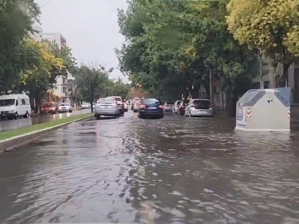 Calles anegadas y caídas de árboles en distintos barrios: así estuvo La Plata por el temporal este martes