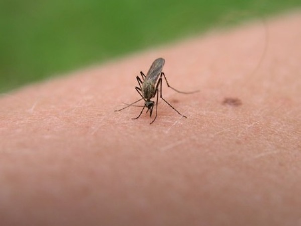 Por el histórico brote de dengue, hay guardias desbordadas en todo el país