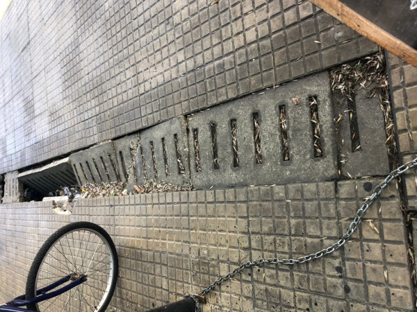 Es un peligro: así está una alcantarilla en pleno centro platense