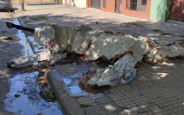 En el Barrio Hipódromo piden que se retire un caballo que está en estado de descomposición desde el 31 de diciembre
