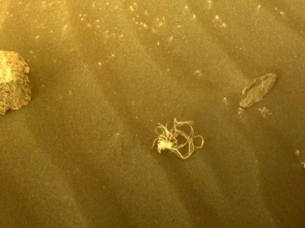 ¿Un "Spaghetti" en Marte? La NASA compartió un extraño objeto parecido a un fideo
