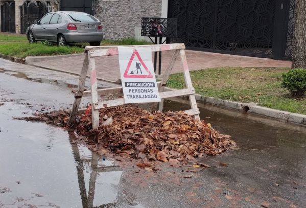 En 50 y 133 se quejaron por una montaña de hojas en el medio de la calle