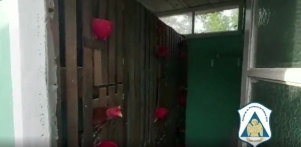 Detuvieron al "asesino de gatos" y a la "reina de los gallos", quienes realizarían apuestas clandestinas en La Plata