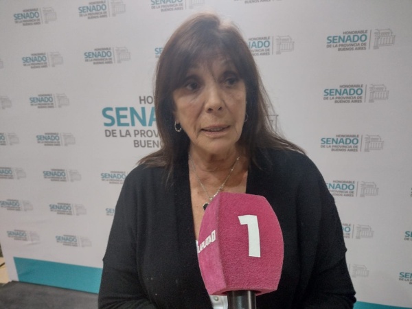 "Es la Ley Descuartizamiento": Teresa García criticó la Boleta Única y habló de una "necesidad publicitaria" de Juntos