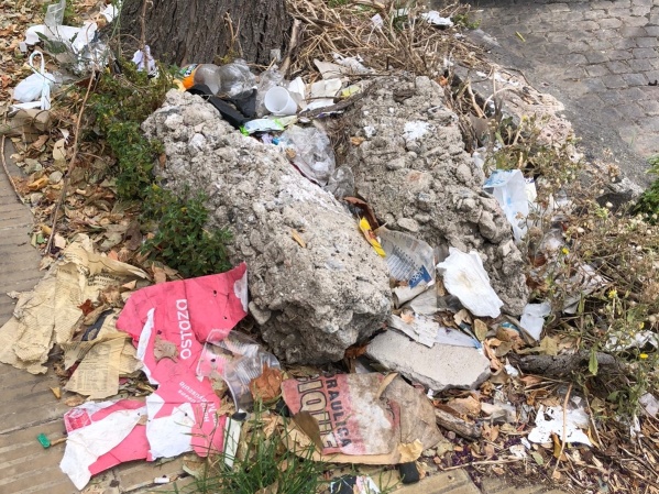 "Que alguien venga a limpiarlo por favor": el mensaje de una vecina de 4 y 44 por el estado de las veredas