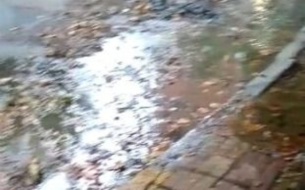 Vecinos de 2 entre 55 y 56, preocupados por una pérdida de agua “escandalosa”