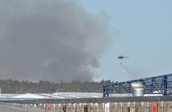 Se incendió el Parque Pereyra Iraola: varias dotaciones de bomberos trabajaron en el lugar