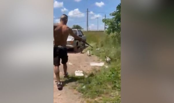 Denuncian a un hombre por maltrato animal en La Plata