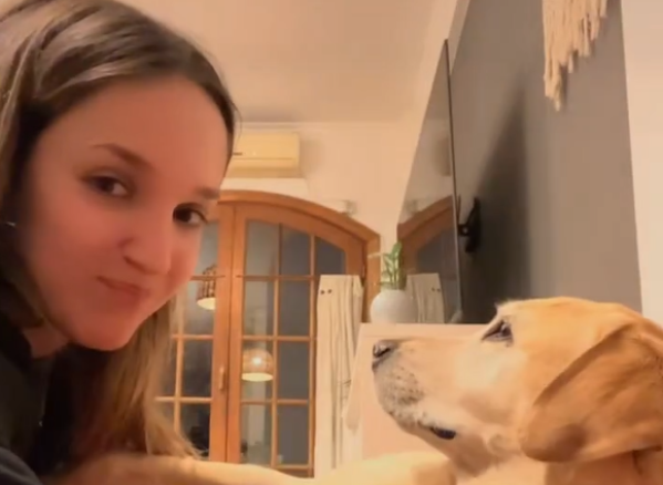 “¿Cómo preparar un perrito caliente?”: su dueña lo cortó en pedazos y se hizo viral