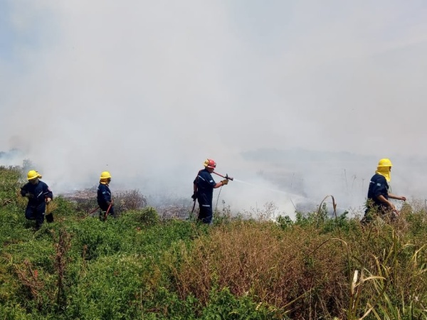 Preocupación en la región por el feroz incendio en la Reserva de Punta Lara