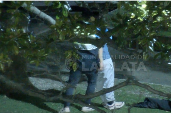 En estado de inconsciencia, hizo disturbios en Plaza San Martín y luego intentó ahorcarse colgándose de un árbol