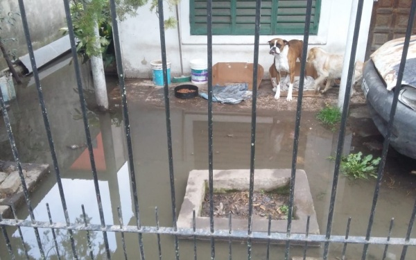 Un desborde de agua complica a una familia de La Plata que pide a gritos una soluci&oacute;n