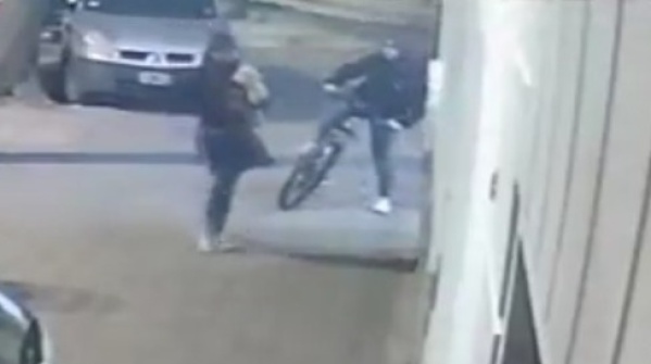 Dos mujeres quedaron filmadas en el momento que se robaban un perro de la puerta de una casa de La Plata