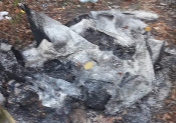 Pura maldad: le incendiaron la cucha a un perro callejero en Tolosa