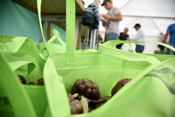 La Plata comienza los preparativos para la gran Fiesta del Alcaucil