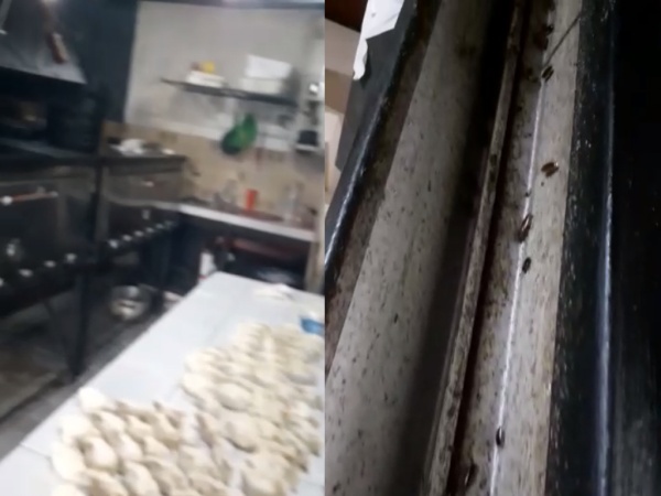 Despidos repentinos, baños con llaves y cucarachas: denuncian a una pizzería platense por maltrato laboral y falta de higiene