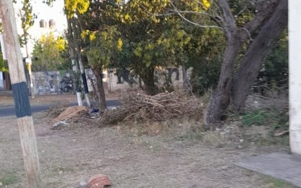 En Ringuelet reclaman por una esquina abandonada y con "sobrepoblación de ratas y cucarachas"