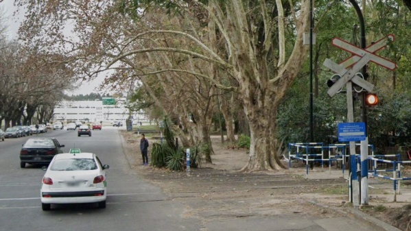 Un ladr&oacute;n que estaba pr&oacute;fugo fue detenido en la zona del bosque platense