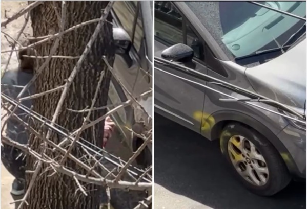 Una mujer quedó registrada mientras pintaba autos en La Plata y fue detenida