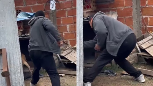 Después de más de 250 denuncias por maltrato animal, detuvieron a un hombre en Los Hornos por golpear a sus perros