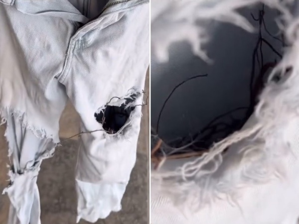 Colgó su pantalon afuera para que se seque y al otro día encontró algo insólito en su interior: "Te lo ocuparon"