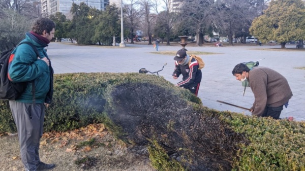 Se prendieron fuego los arbustos de Plaza Moreno: Mira como se inició el incendio