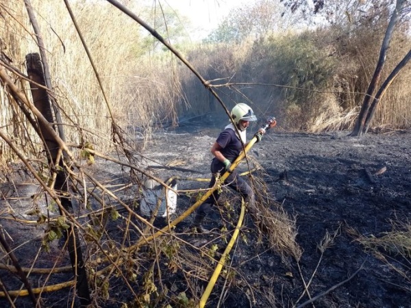 El Pereyra Iraola en alerta Naranja por un nuevo incendio intencional