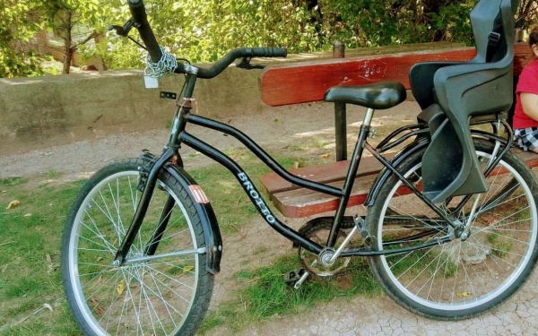Joven con capucha roba una bicicleta estacionada en la puerta de un comercio en City Bell