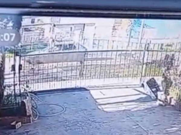 Indignación en La Plata: Una mujer arrastró a un perro atado a su auto y fue denunciada por maltrato animal