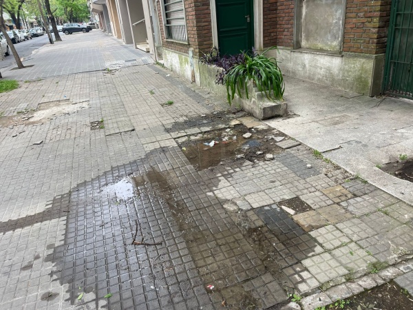 Vecinos denuncian pozo con pérdida de agua en calle 61 y 9
