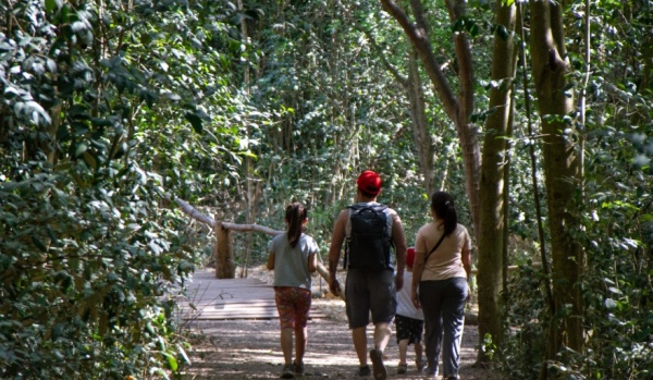 La última reliquia de selva subtropical se encuentra en Punta Lara y pocos lo saben