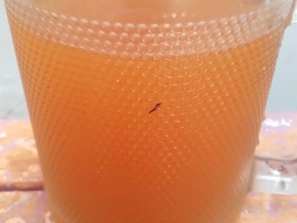 En Tolosa "el agua no es potable"