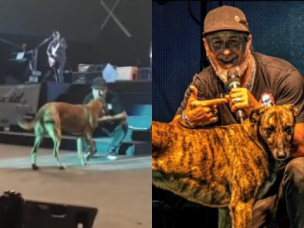 Un perro sorprendió al Mono de Kapanga en su último show