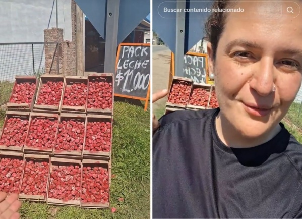 Una joven fue engañada por un puesto rutero con frutilla de piedras y el video se volvió viral