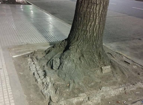 En Plaza San Martin se quejan de “unos fierros que son un peligro”