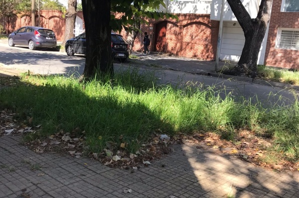 En 22 y 55 se quejaron de que no se corta el pasto y muchos vecinos arrojan su basura