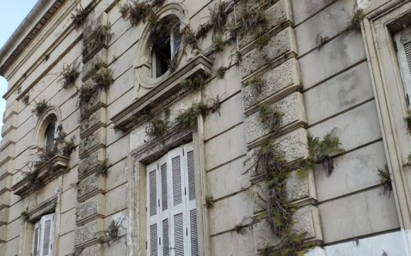 Vecinos reclaman la limpieza de la fachada del cementerio de La Plata