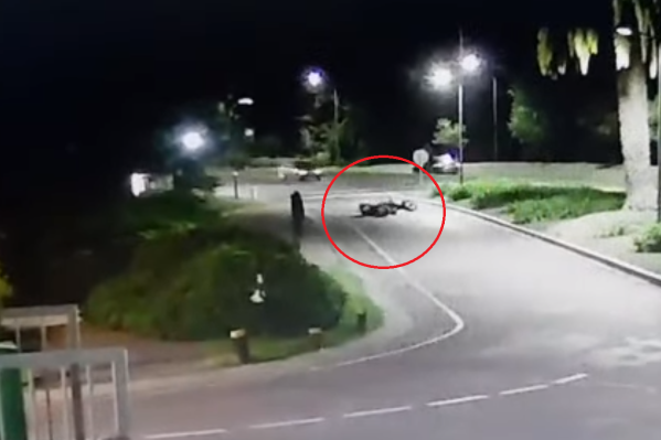 As&iacute; "atac&oacute;" un carpincho a un motociclista en Nordelta