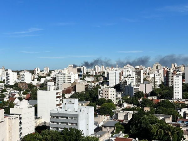 Susto y tensión tras el incendio en un sector de Berisso: se prendió fuego una tosquera y el humo negro alertó a los vecinos