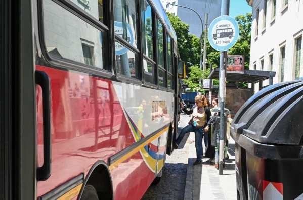 Se levantó el paro de micros en La Plata y los servicios circularán normalmente este domingo