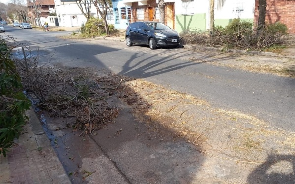 Enojo y reclamos por la acumulación de ramas en una calle platense