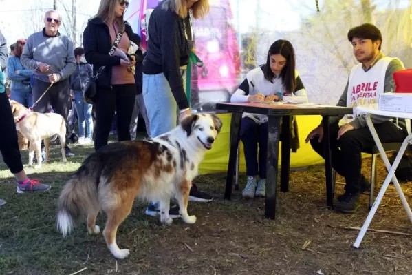 La Municipalidad avanza con la atención veterinaria itinerante en diferentes barrios de La Plata