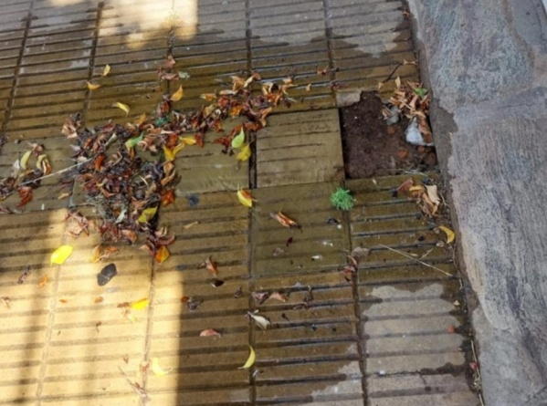 Derroche de agua en 526 entre 7 y 8 tiene a mal traer a los vecinos