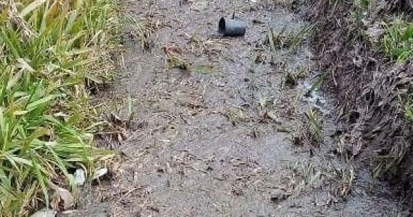 En Villa Elisa reclaman por desbordes cloacales