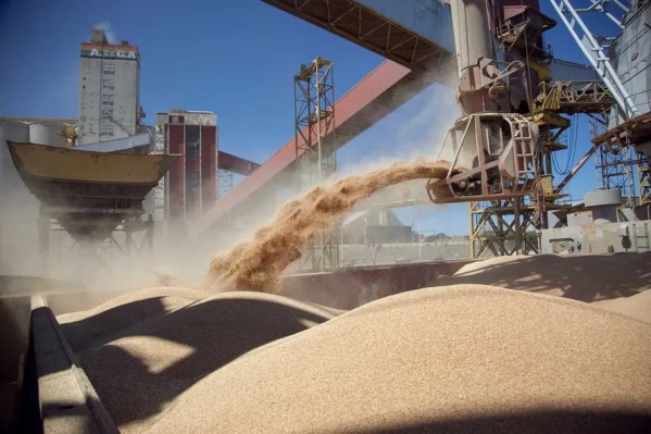 El Gobierno le planteó al Banco Central derogar una medida que impide a los productores tomar créditos