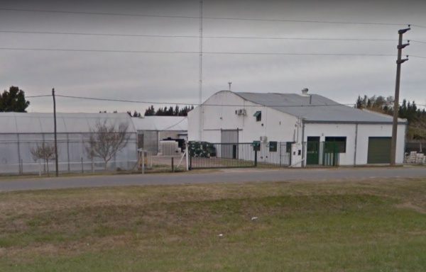 En el vivero de 44 y 242 atacaron salvajemente a un sereno y le robaron todas sus pertenencias