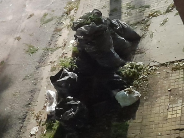 Olores nauseabundos hace días: vecinos se quejaron por la espantosa acumulación de basura en una cuadra de La Plata